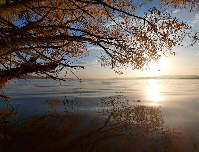 пруд, рассвет, утро, осень, листья Утро на пруду. фото превью