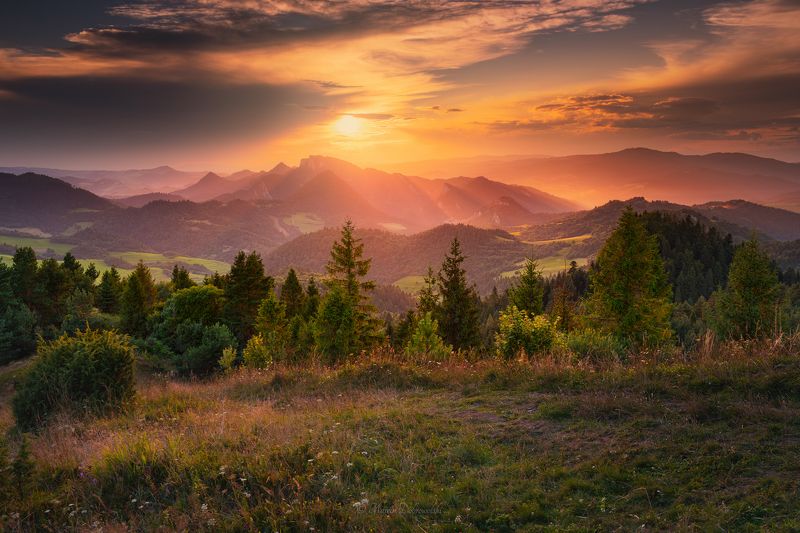 pieniny, poland, polska, mountainscape, landscape, sunset, wysoki wierch, sun, clouds, trees, nikon, tamron, mountains, sunlight, forest, nature, golden hour Behind the Storm фото превью