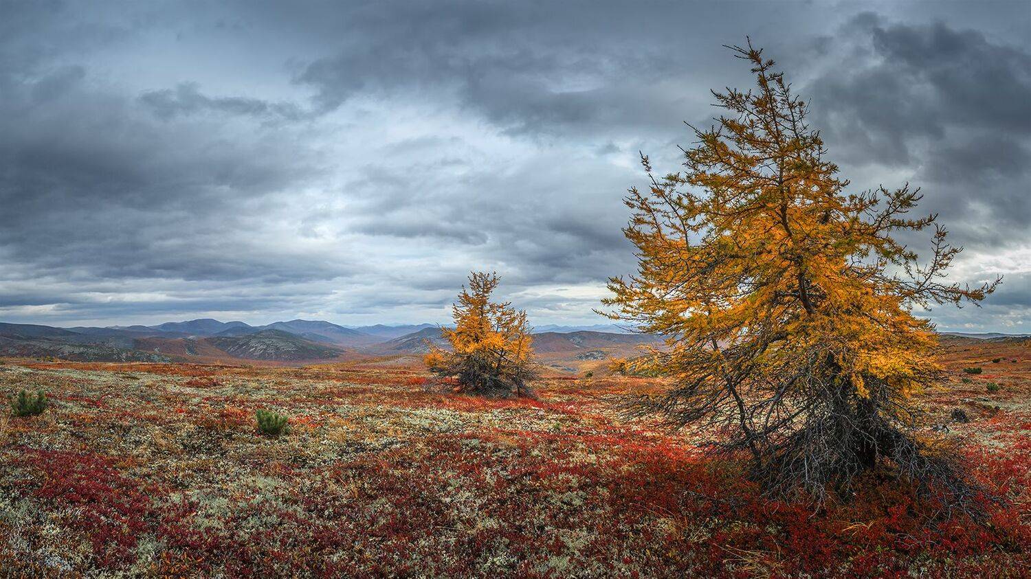 , Андреев Николай