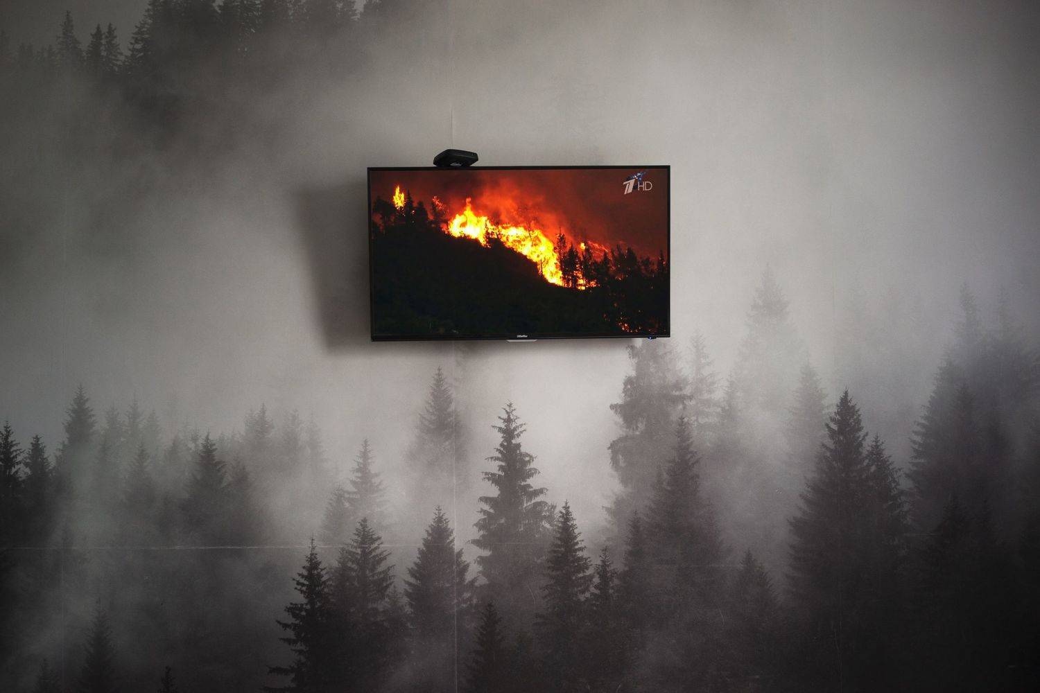 , Иванов Кирилл