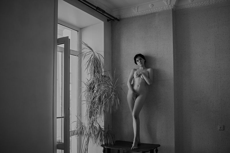 *** фото превью