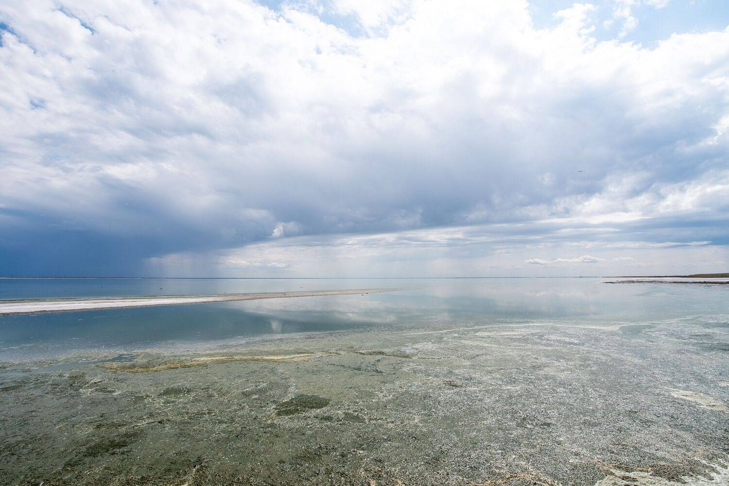 volgograd, mirror, lake, russia, wildlife, , Сторчилов Павел