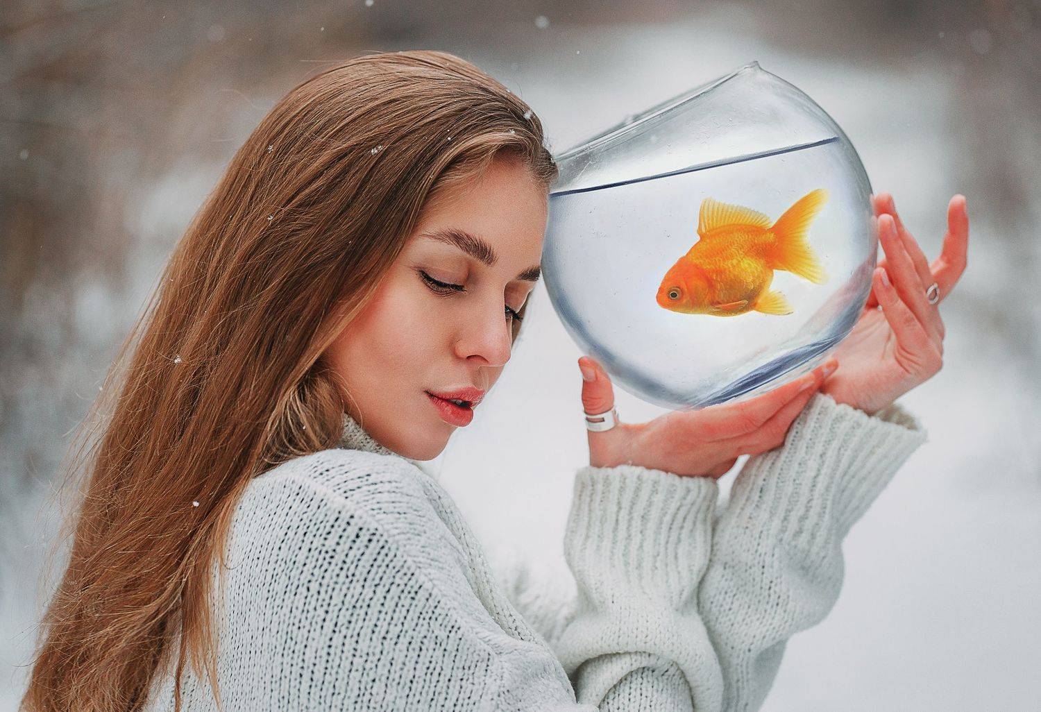 , Алексей Вирусян