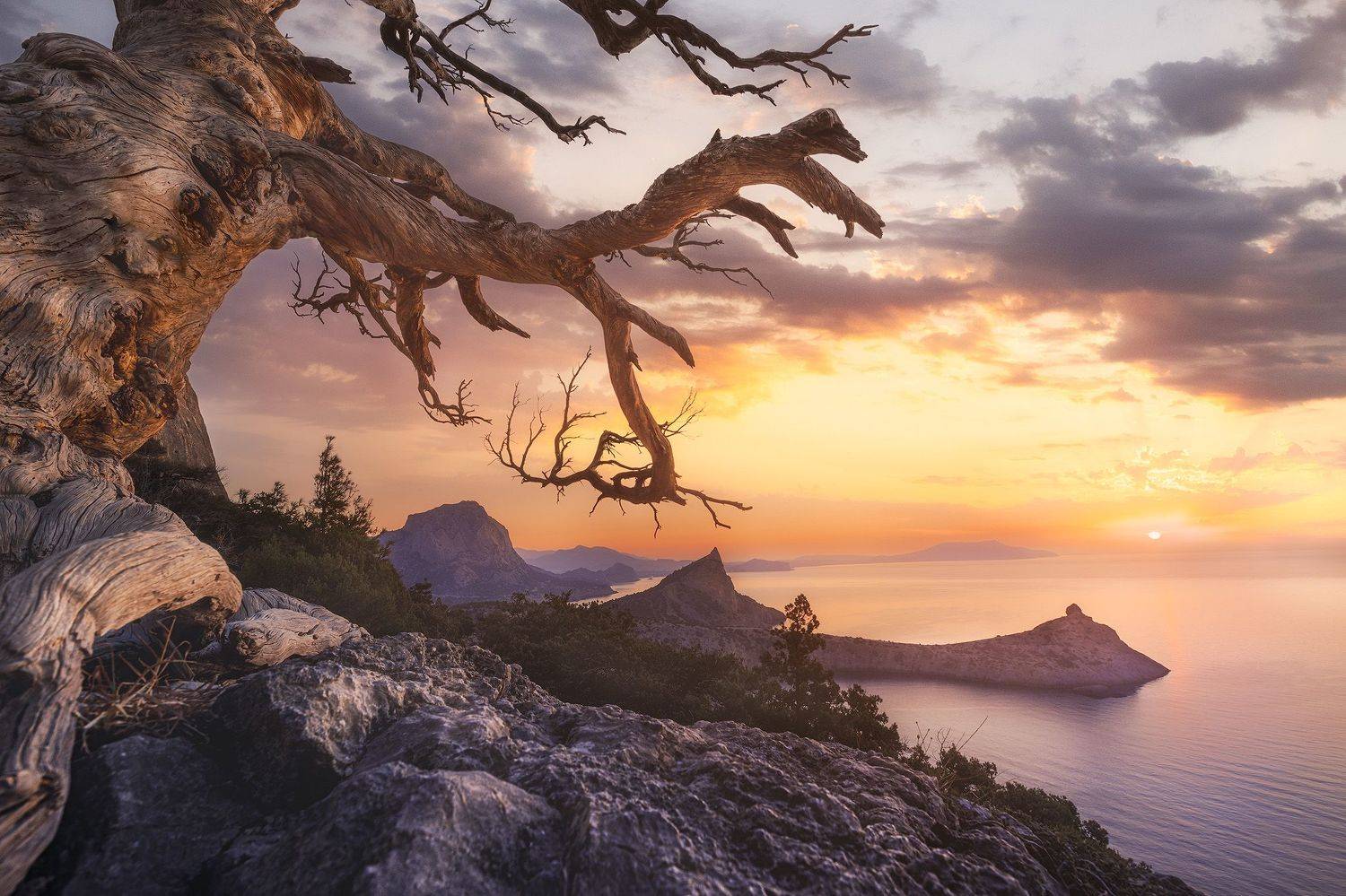 , Костенко Александр