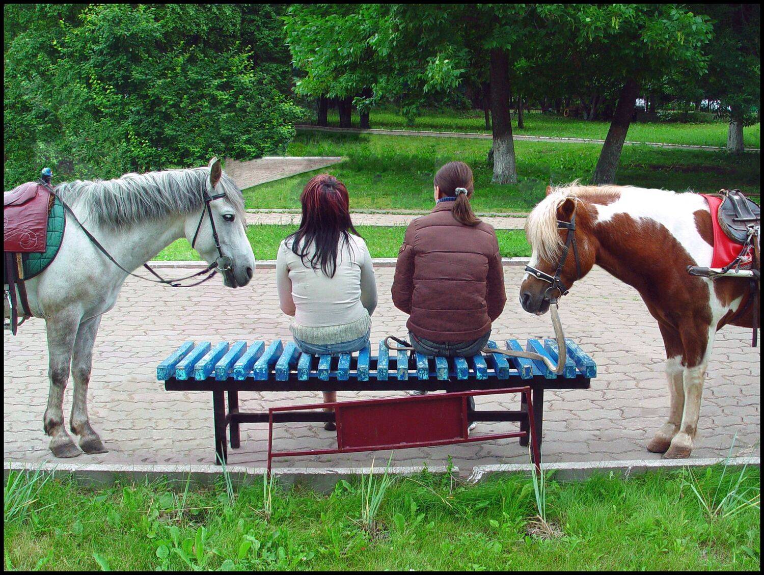 , Меднов Влад