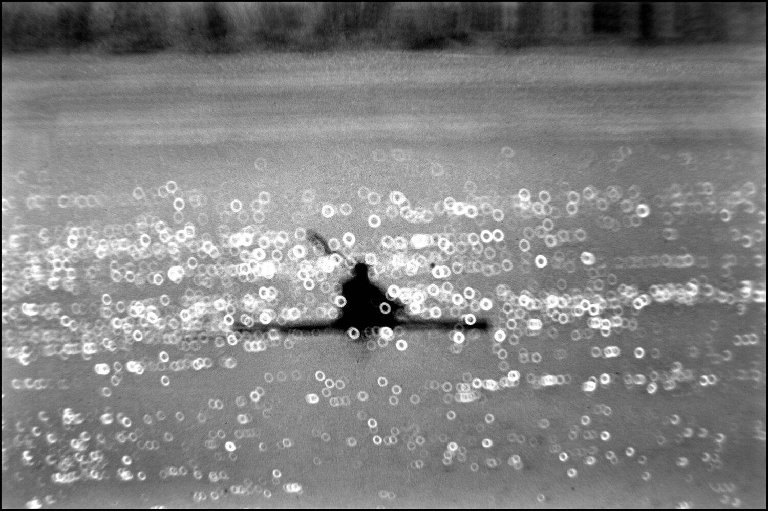 , Меднов Влад