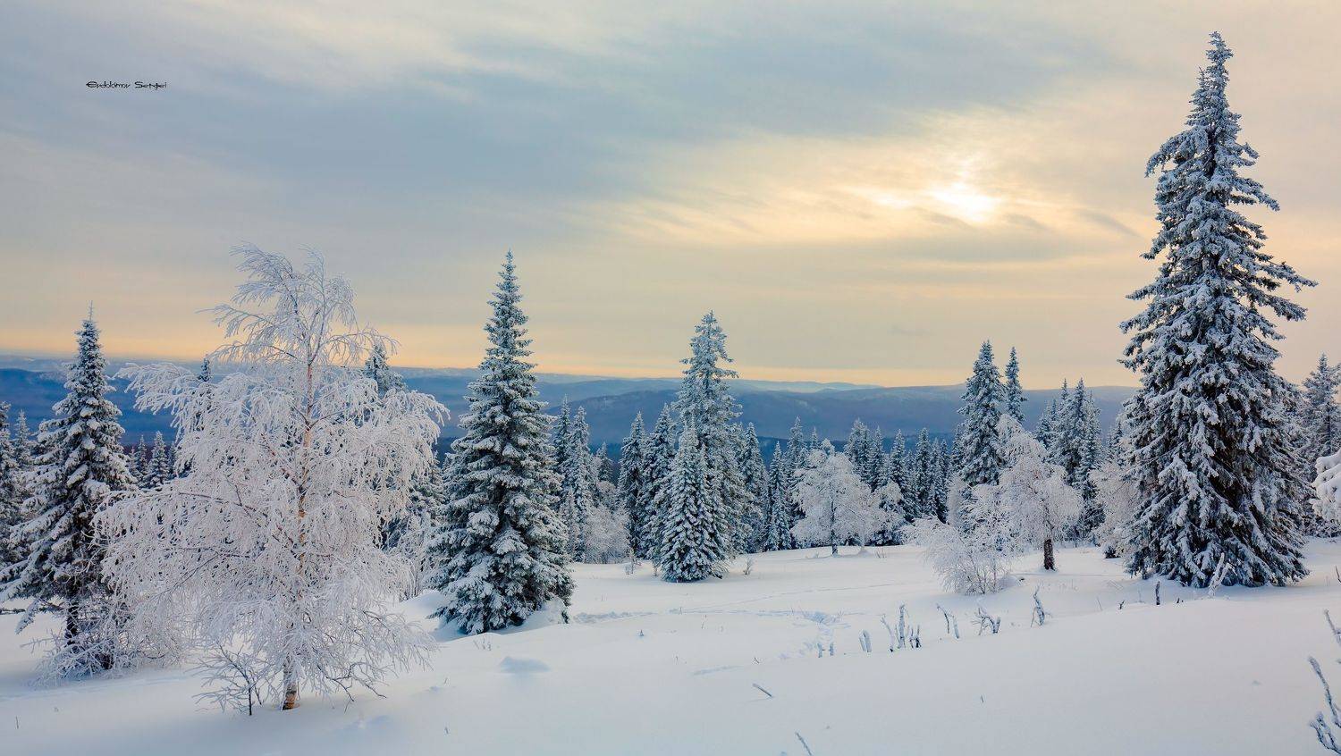 , Сергей Евдокимов