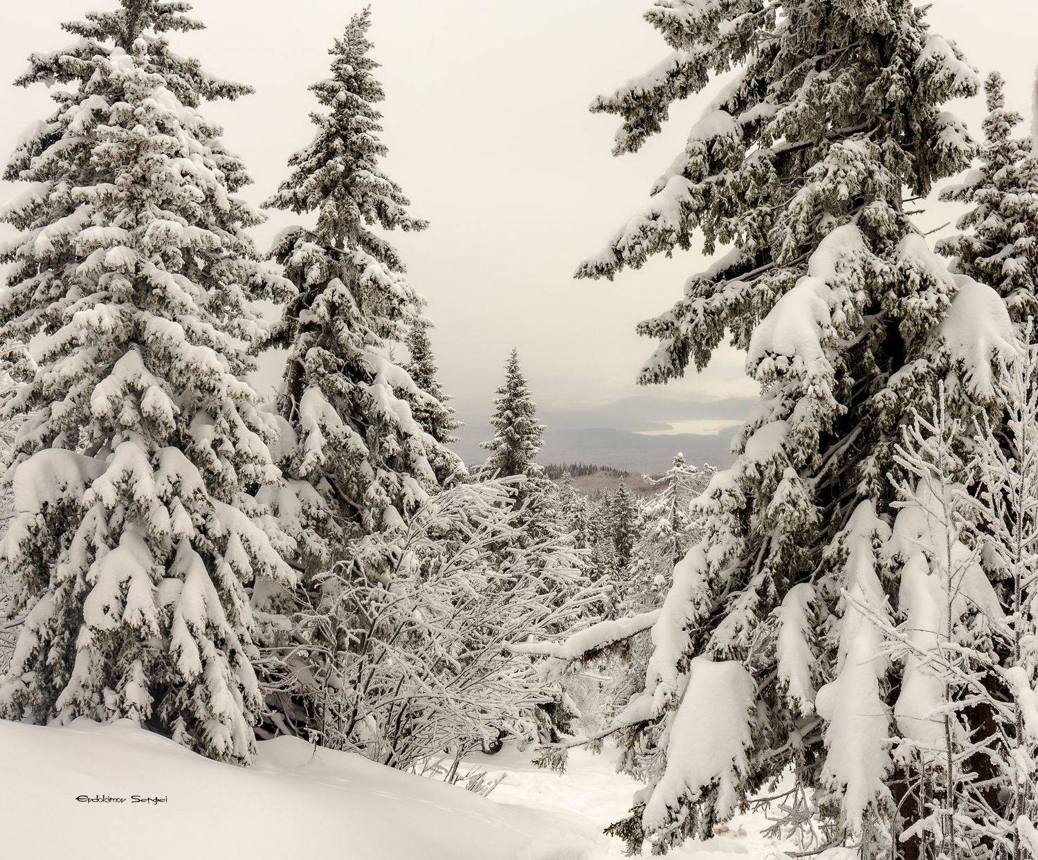 , Сергей Евдокимов
