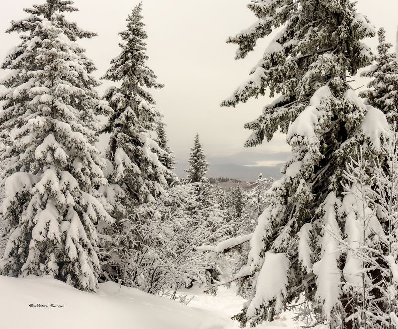 Природа Южного Урала фото превью