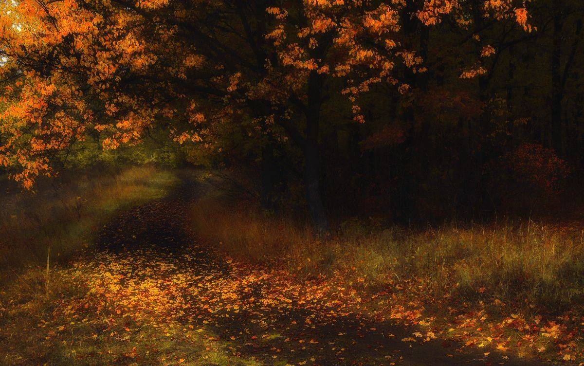 , Лысенко Сергей