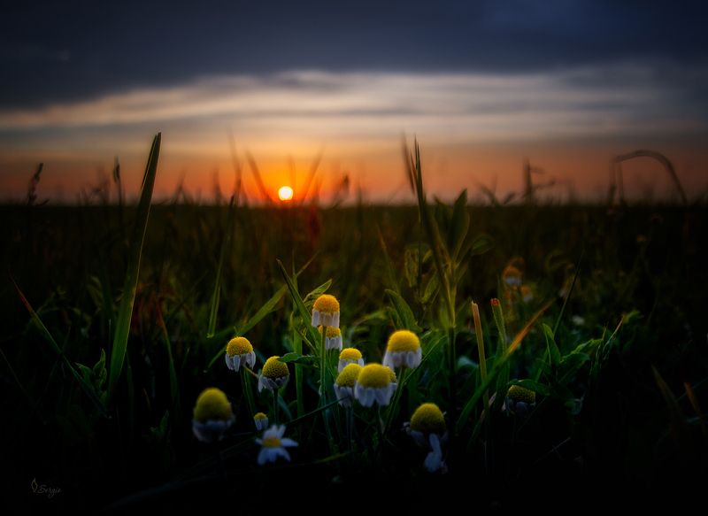 Беларусь Скоро фото превью