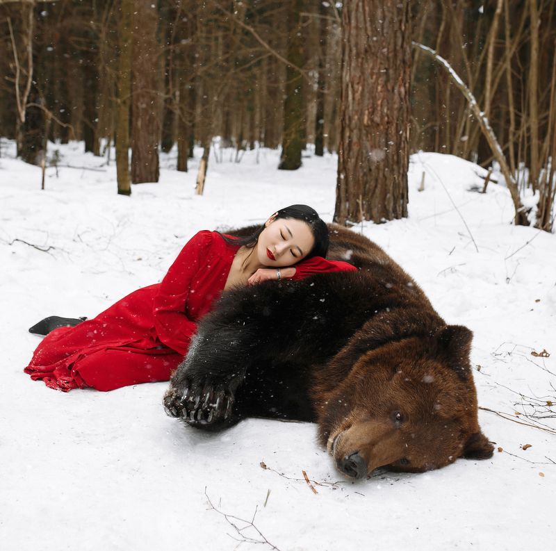 китаянка, медведь, лес, в лесу, красный, природа, зима,зимняя, снег, лес, животное, дуэт, портрет,девушка В лесу... фото превью