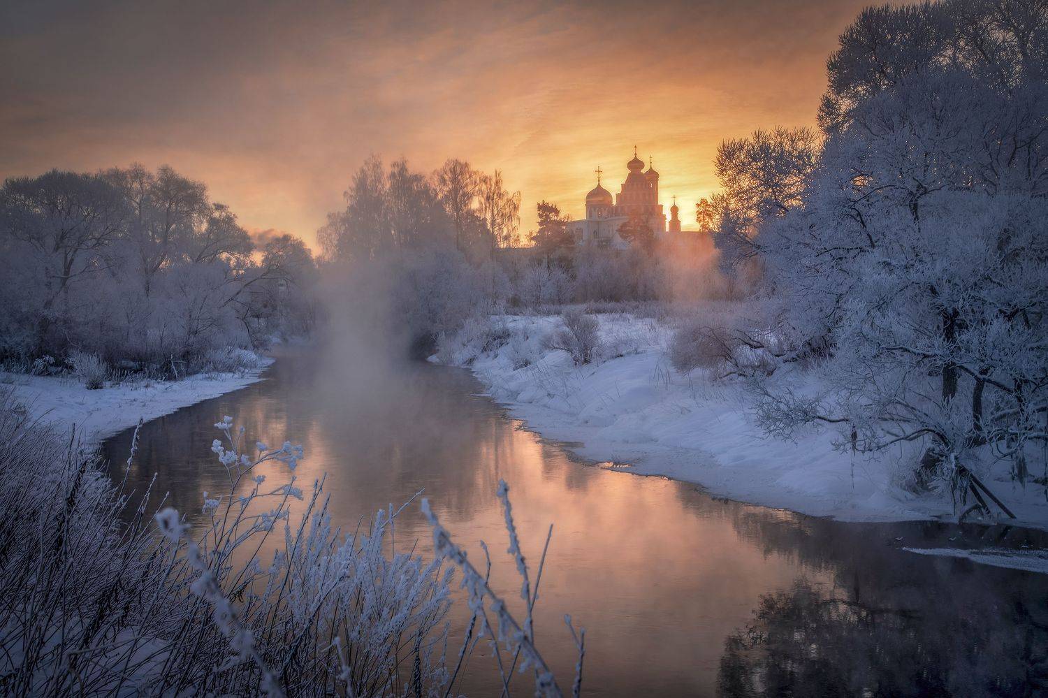 Истра, Гусева Елена