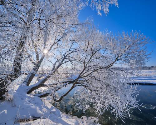 Морозный день на Воре