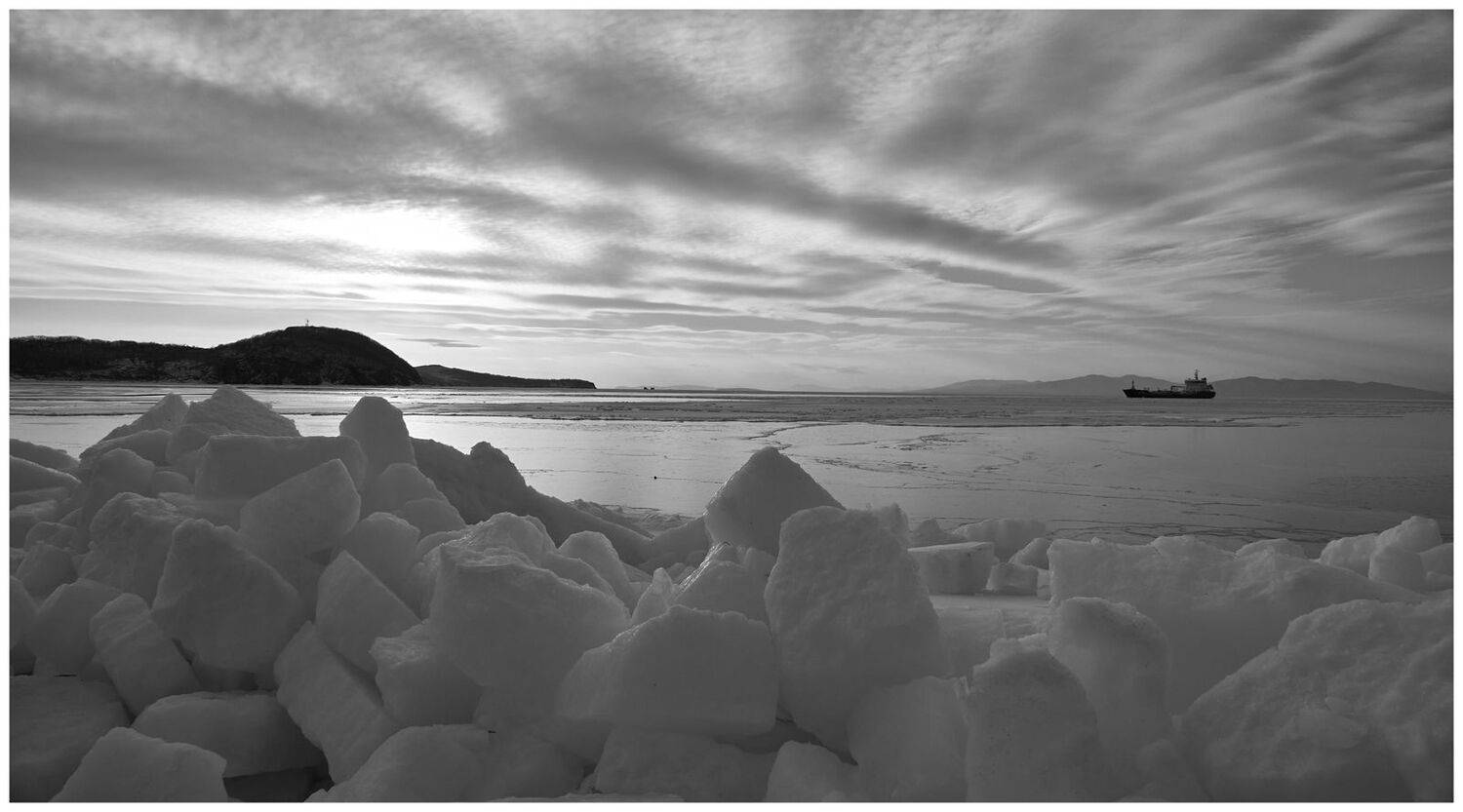 , Дмитрий Заковоротный