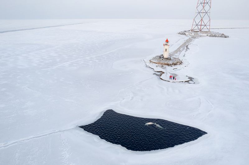 Встреча фото превью