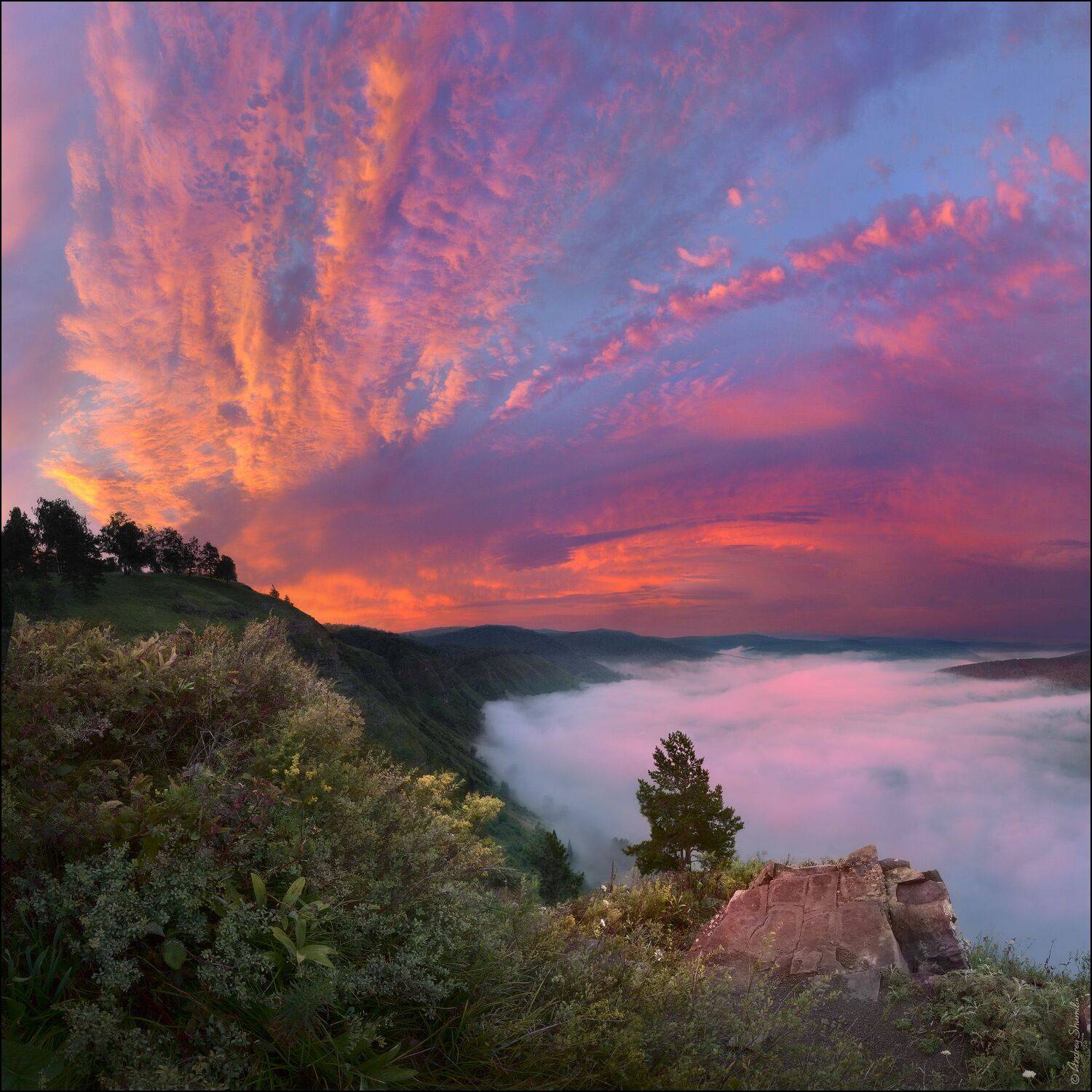 розовые облака, рассвет, восход, утро, туман, Андрей Шумилин