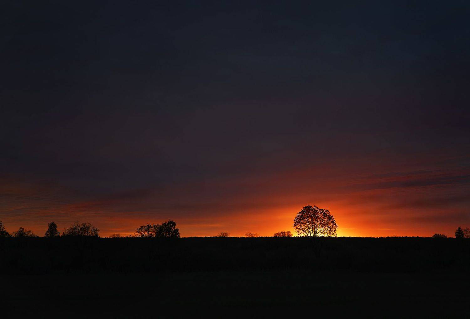 , Александр Степочкин