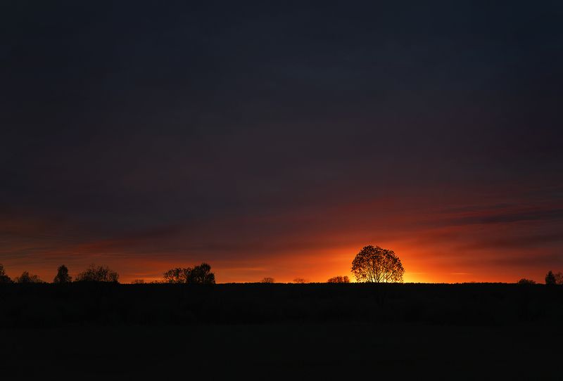 Солнце встает... фото превью