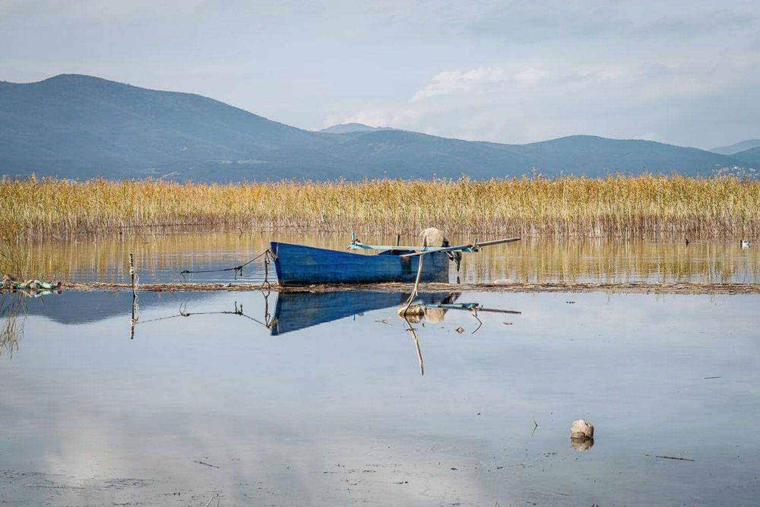 , Antonis Giakoumakis