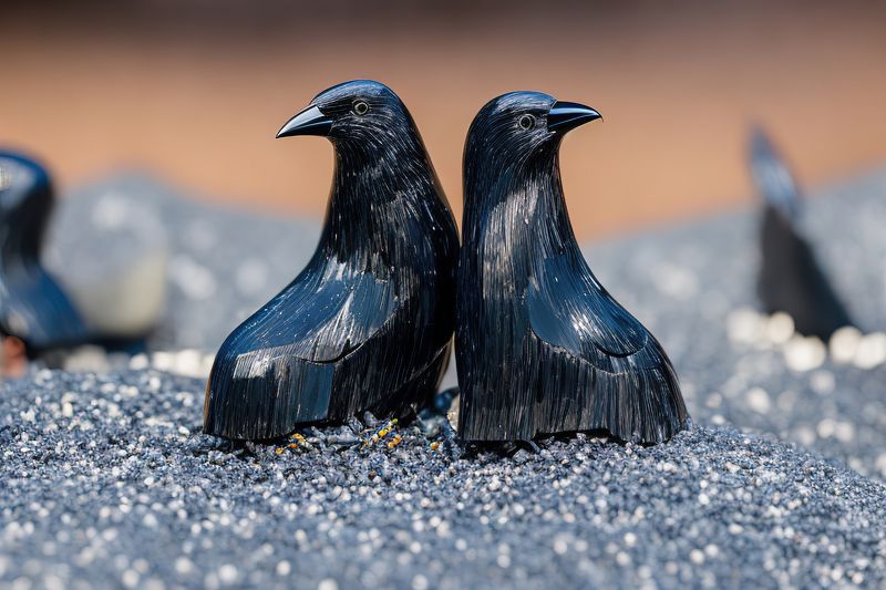 Нейропсихология природы фото превью