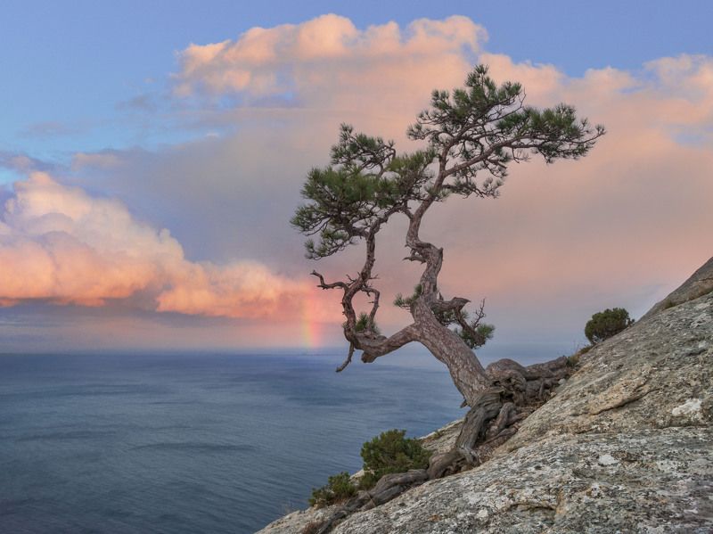 Черное море фото превью