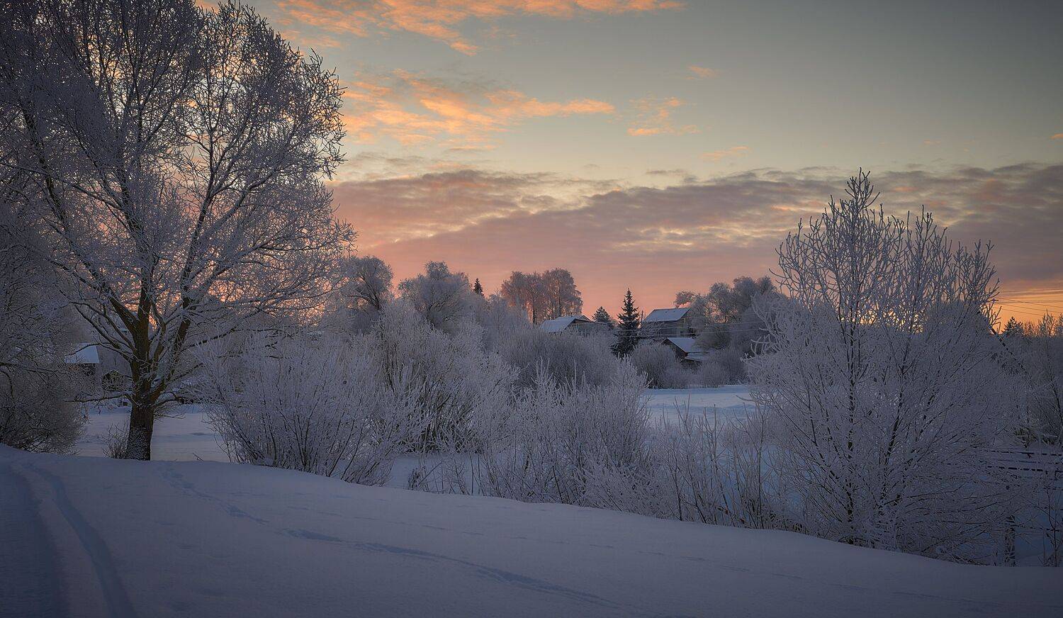 , Борис Дацковский