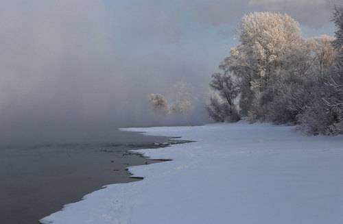 В морозном тумане