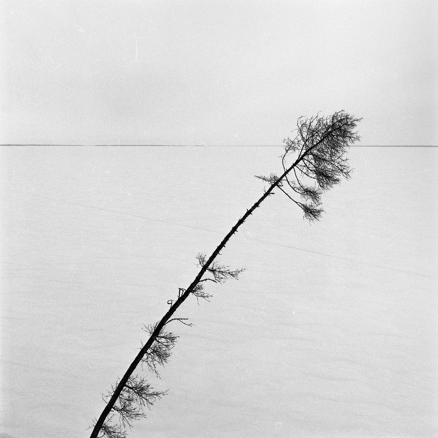 , Иванов Кирилл