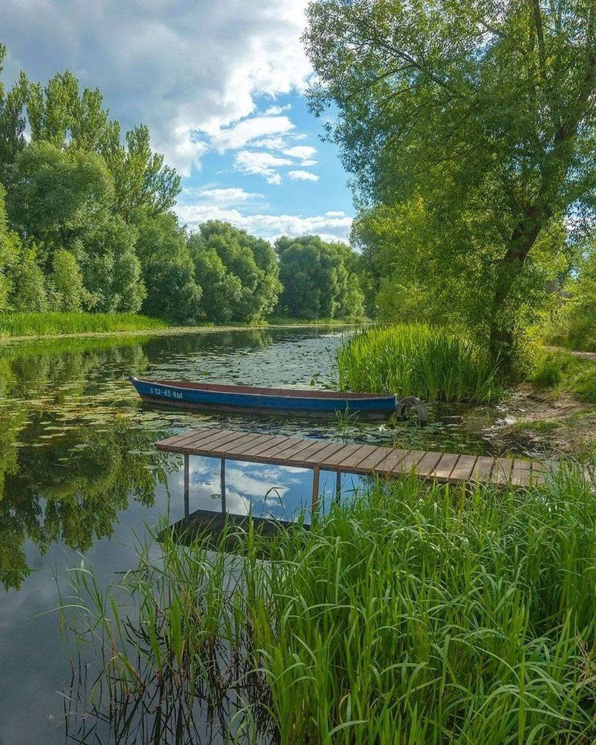 , Петр Косых