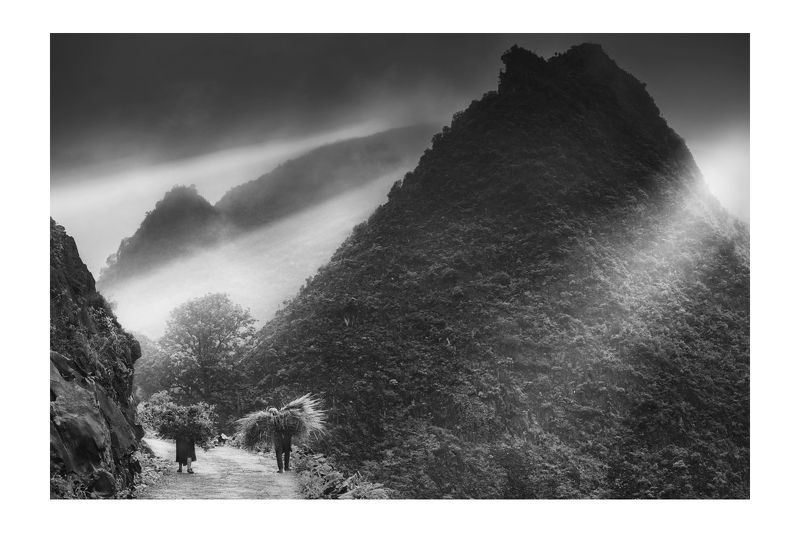 Rice&Icon of Vietnam фото превью