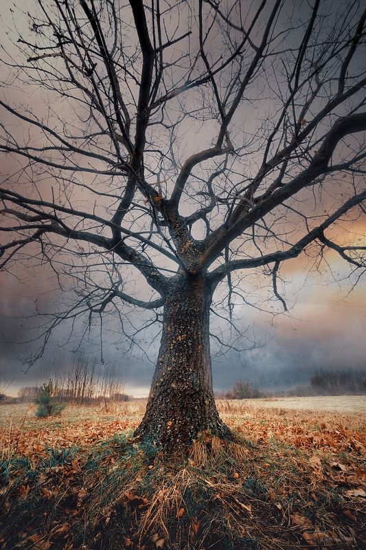 Lublinek фото превью