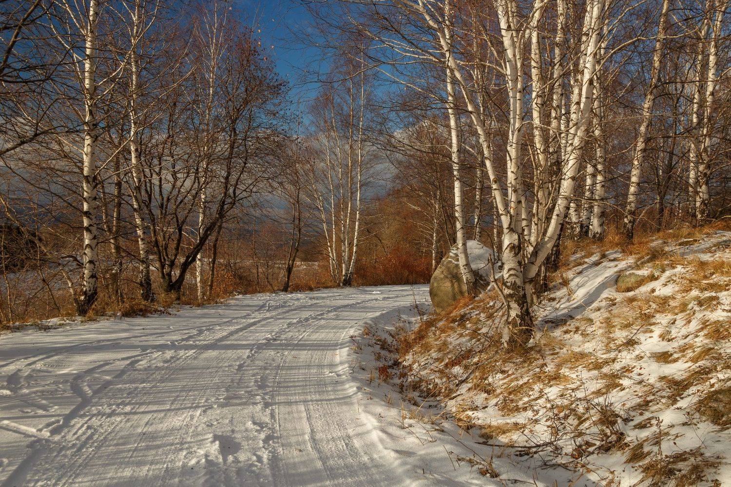 , Александър Сандев