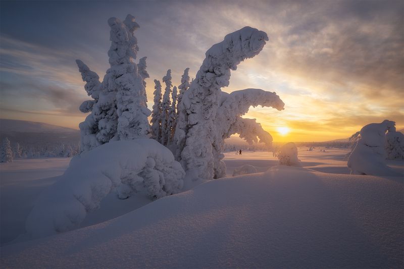 россия, урал, северныйурал, горы, зима, снег, гух, главныйуральскийхребет, сергейалтушкин Снежная корона Северного Урала фото превью