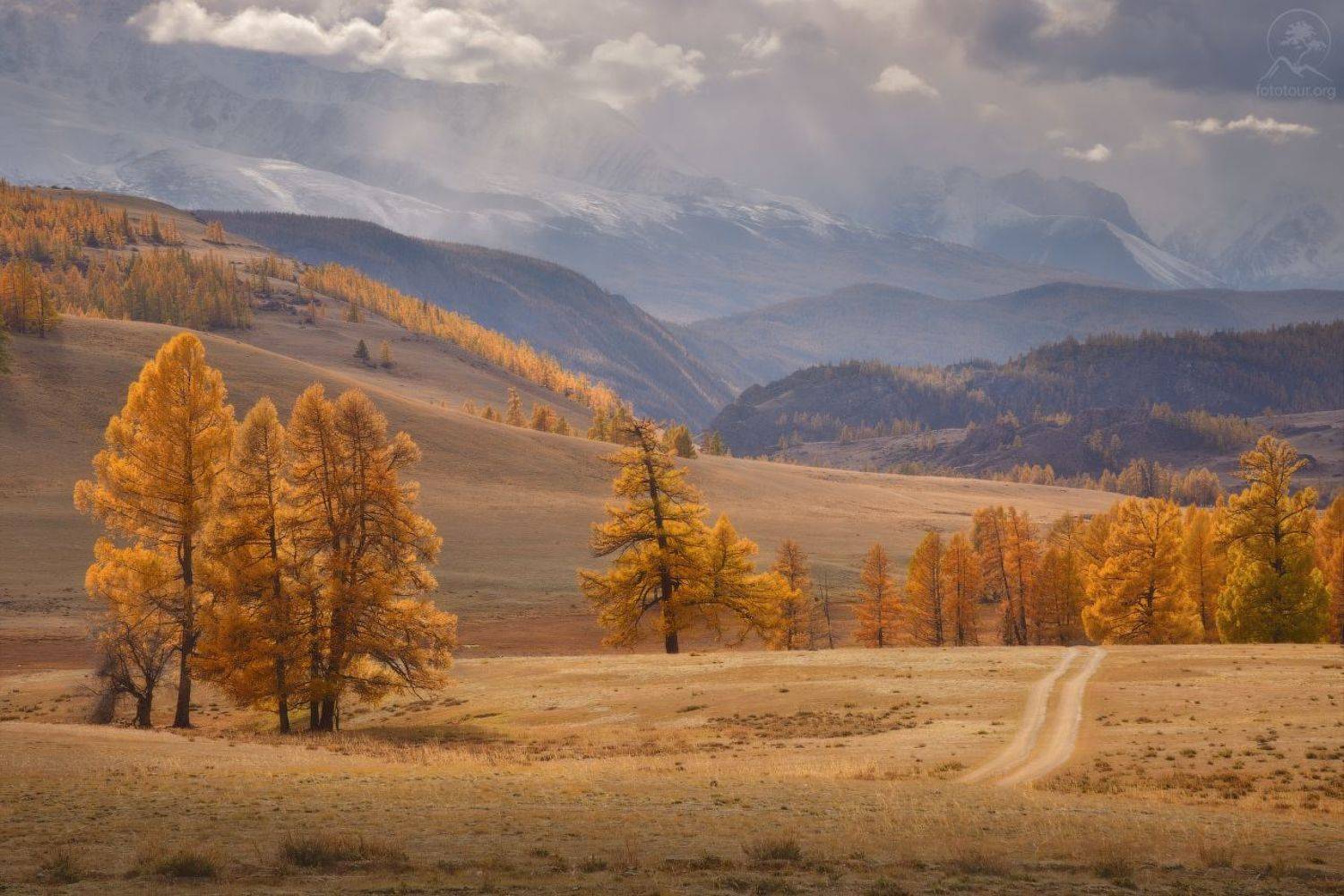 курай, алтай, фототур на алтай, Гордиенко Анатолий