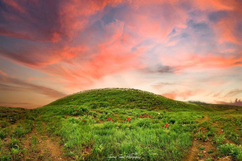 Golden Time фото превью