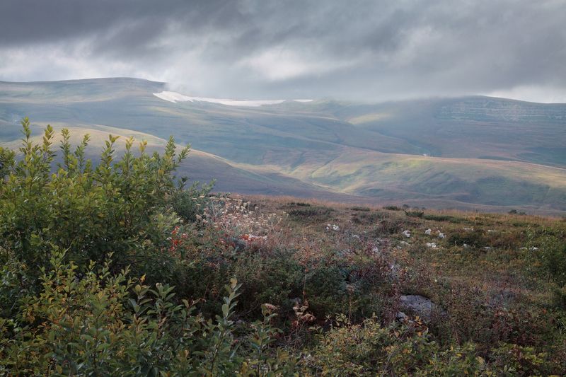 Облачная беготня фото превью