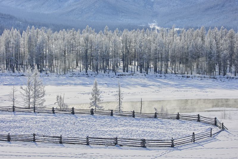 *** фото превью
