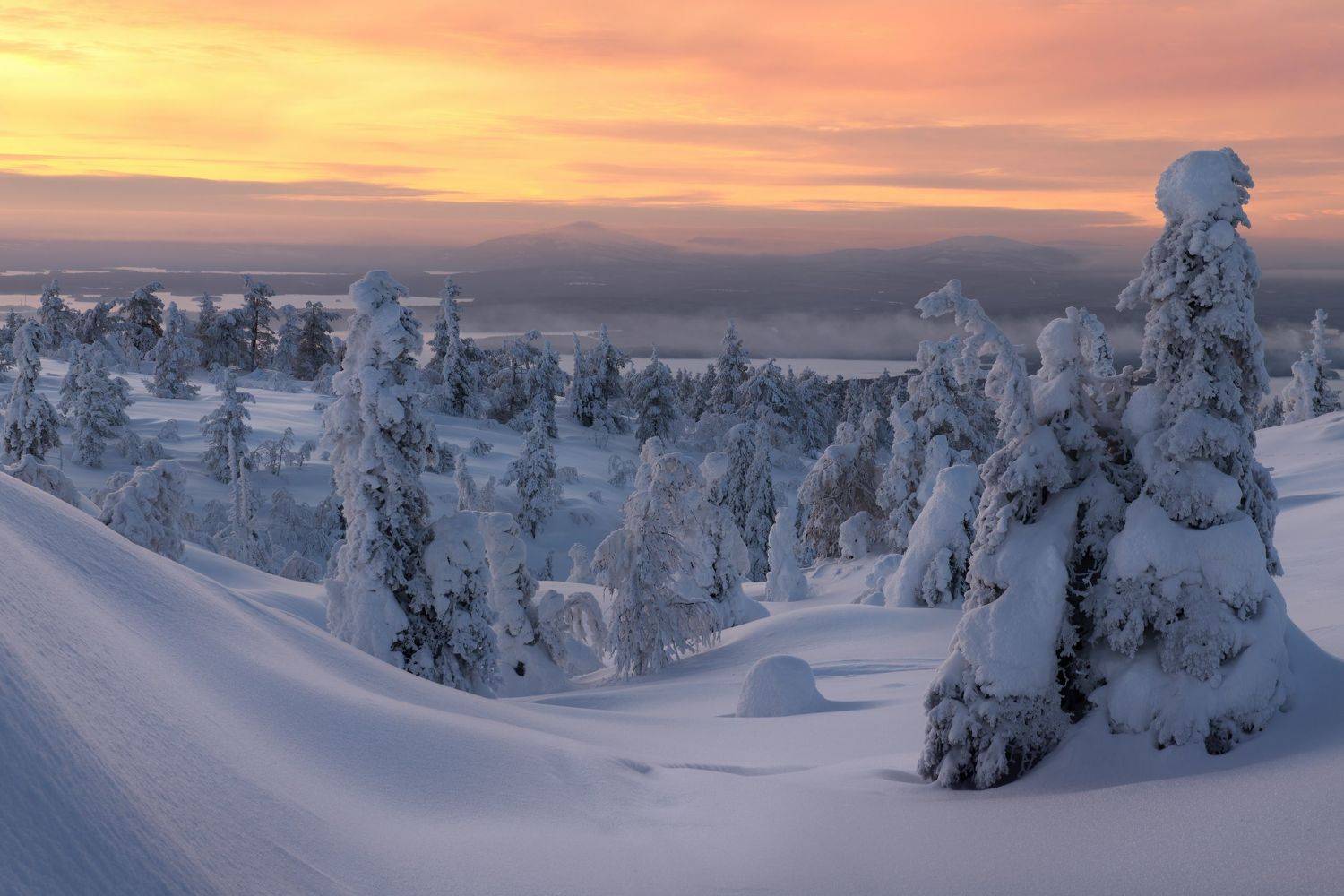 кандалакша, кольский, Алещенко Сергей