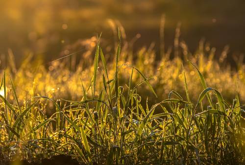 Пробуждение