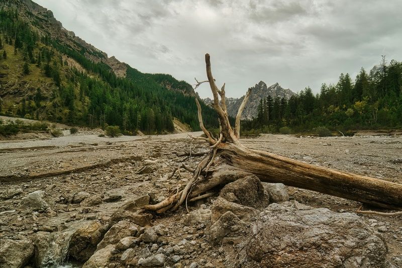 Старое русло реки фото превью