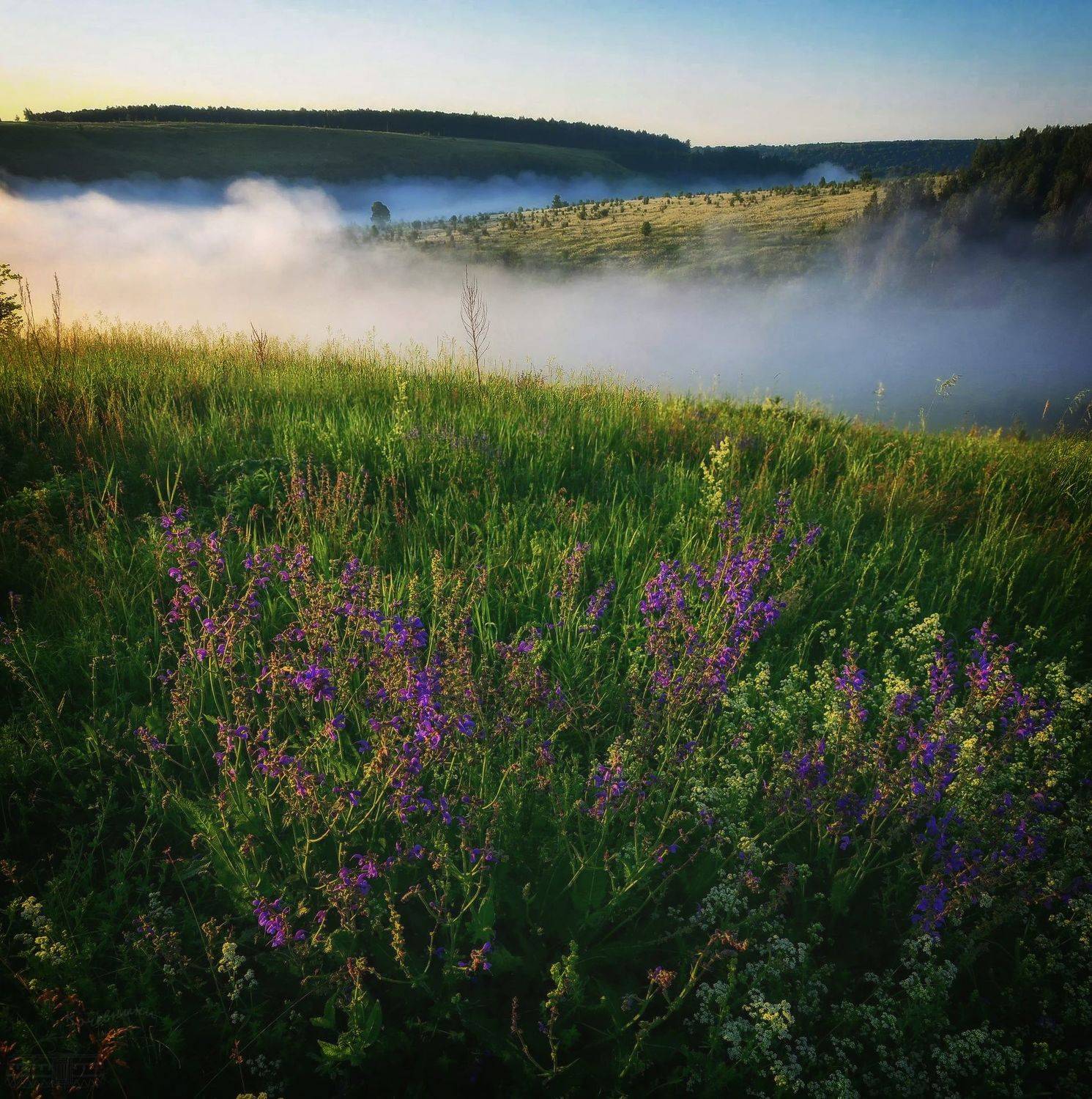 , Юлия Абрамова