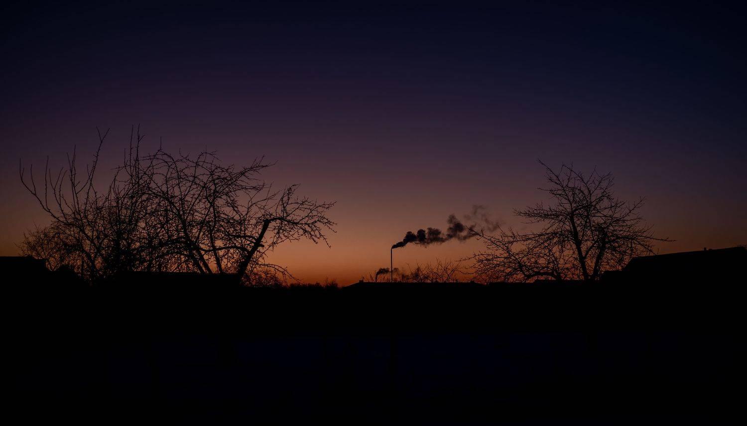 , Николай Смолянкин