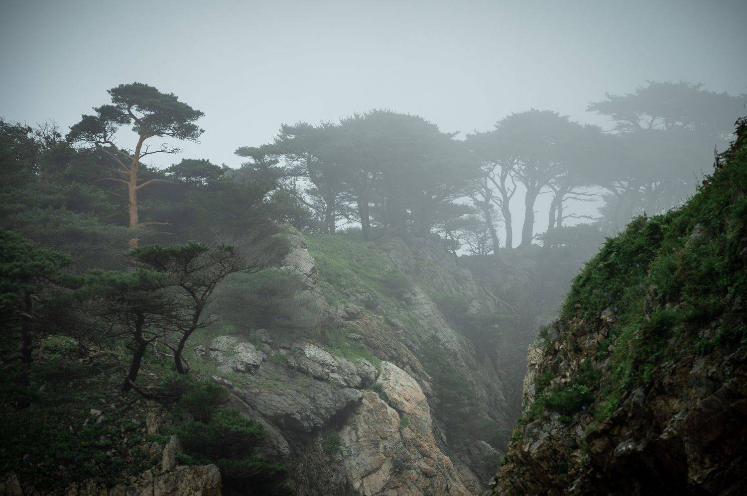 , Перевозчиков Андрей