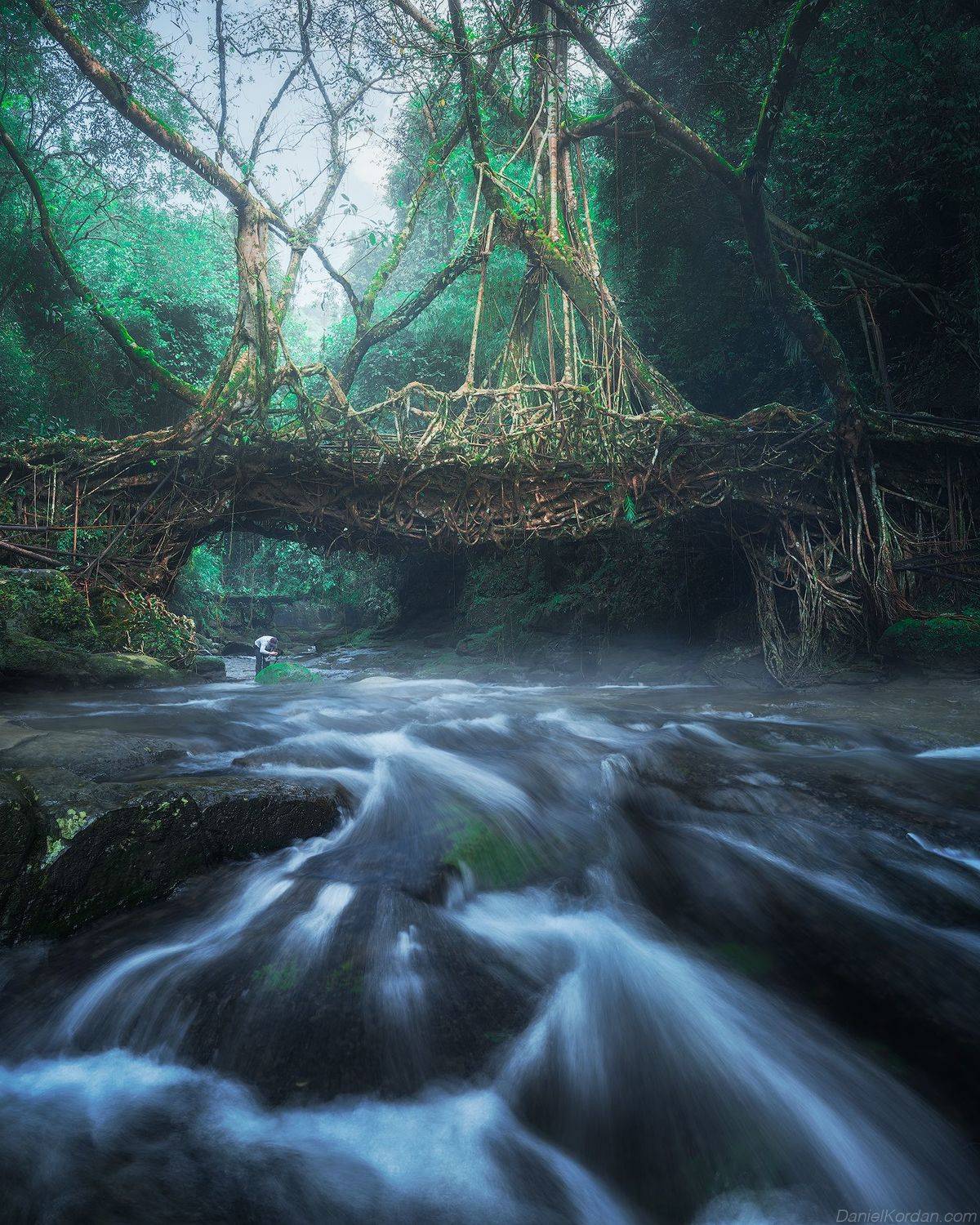 Meghalaya, Даниил Коржонов
