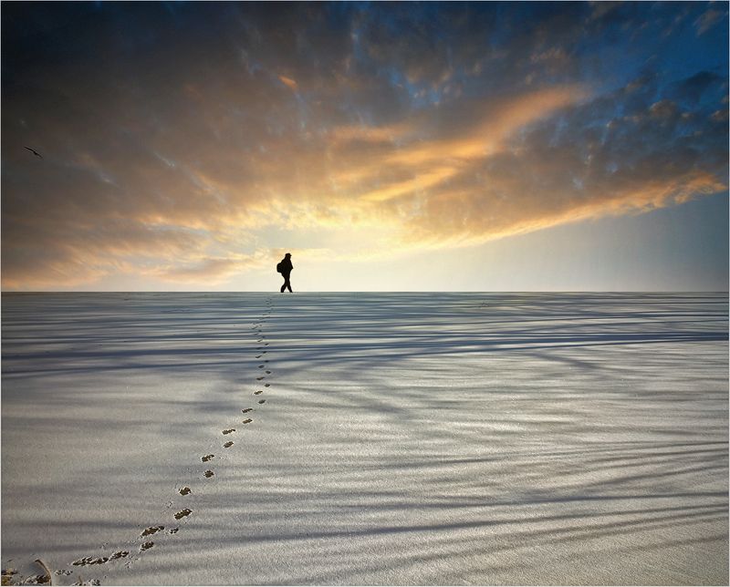 hunter of silence фото превью