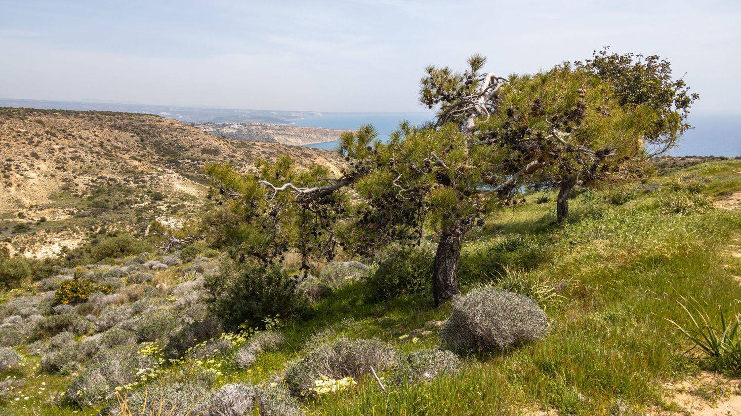 cyprus, landscapes, sea, Калинин Игорь