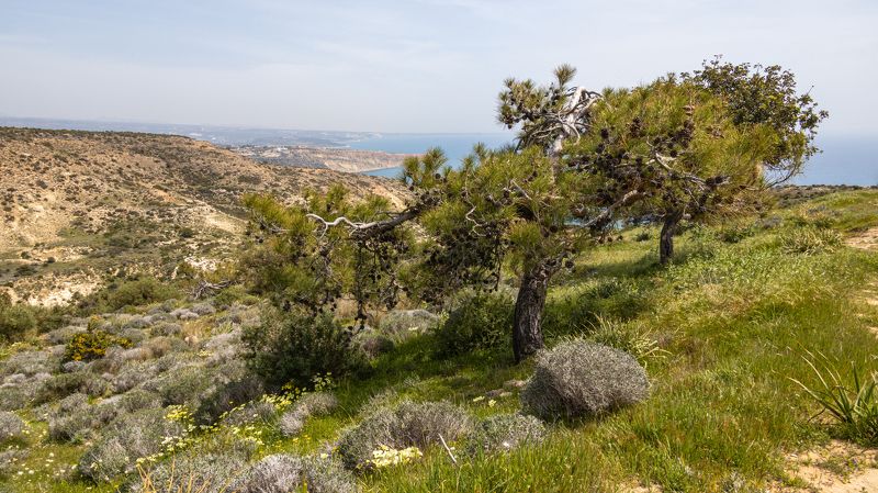 cyprus, landscapes, sea  фото превью