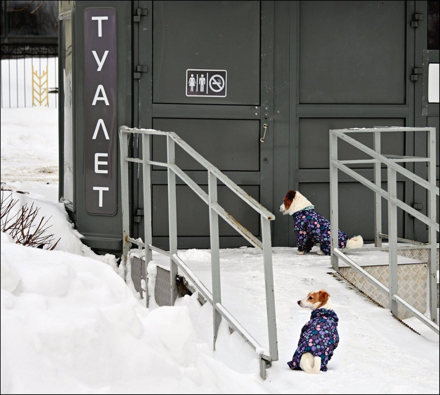 , Меднов Влад