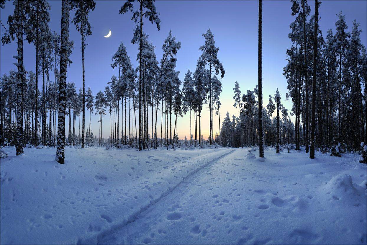 , Анатолий Гулин